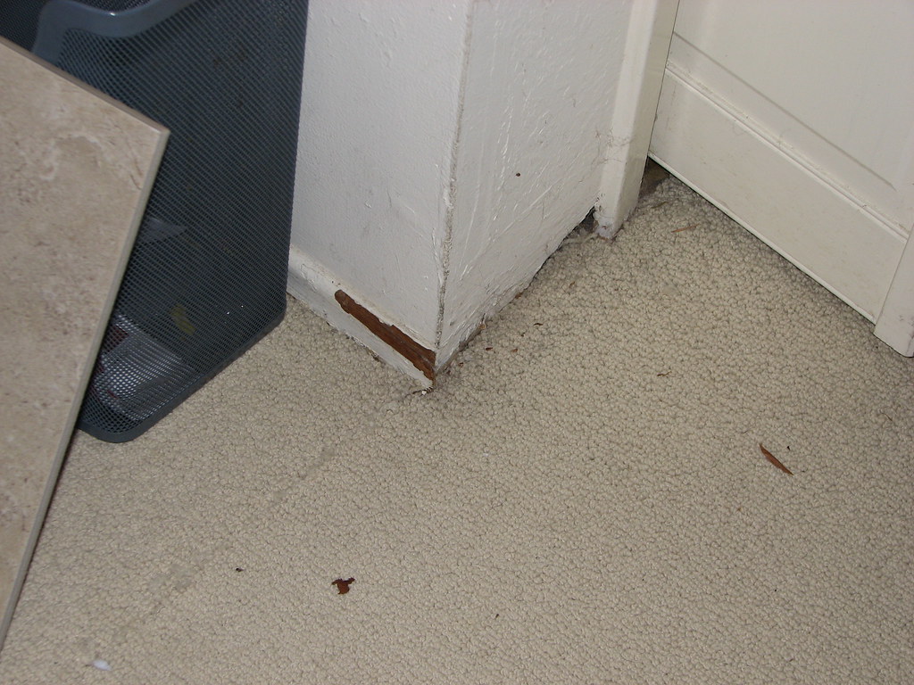 INSTALLING BASEBOARDS BEFORE CARPET. BEFORE CARPET BENTLEY MILLS