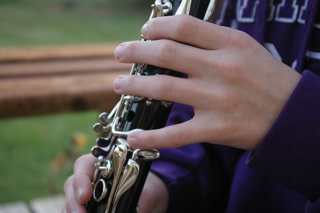 LEARNING LEARNING BASS MUSICAL INSTRUMENT