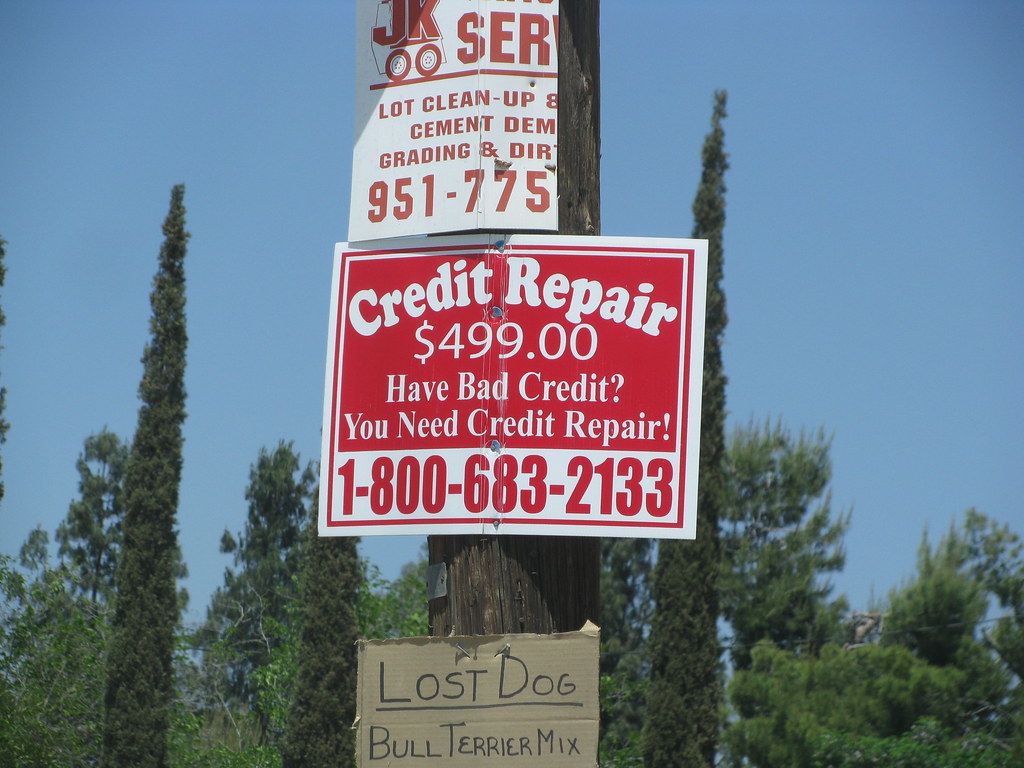 REPAIR YOU CREDIT REPAIR YOU 1997 REPAIR MANUAL