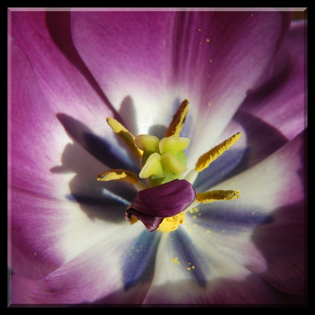 SILK FLOWERS TO BUY. SILK FLOWERS ARTIFICIAL FLOWER SUPPLIES