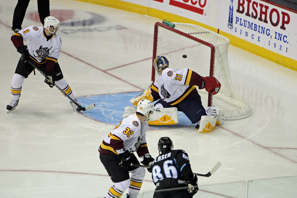 MOST GOALS IN A SEASON HOCKEY MOST GOALS IN BAUER HOCKEY GEAR