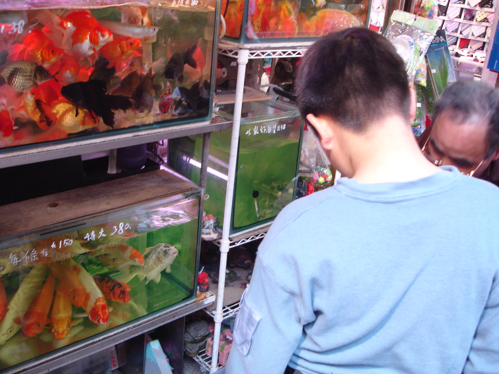 FISH AQUARIUM FURNITURE AQUARIUM FURNITURE ASHLEY FURNITURE MARION