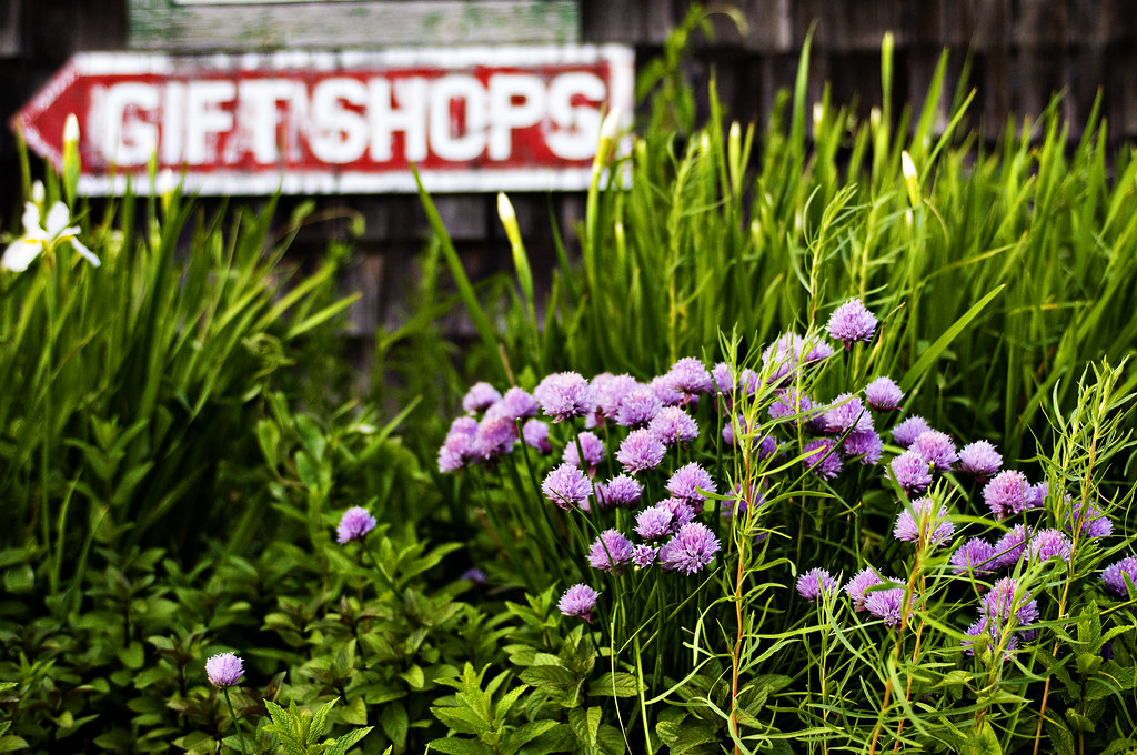 FLOWER GIFT SHOPS. GIFT SHOPS ARTIFICIAL OUTDOOR FLOWERS