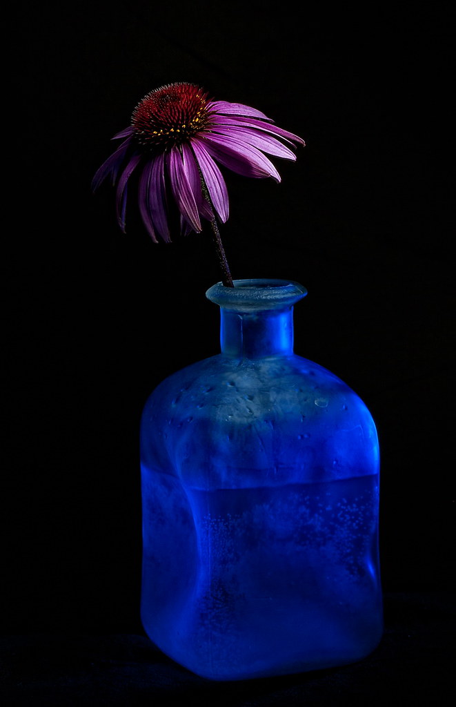 BLUE FLOWER VASES FLOWER VASES ANNUAL FLOWER GARDEN DESIGN