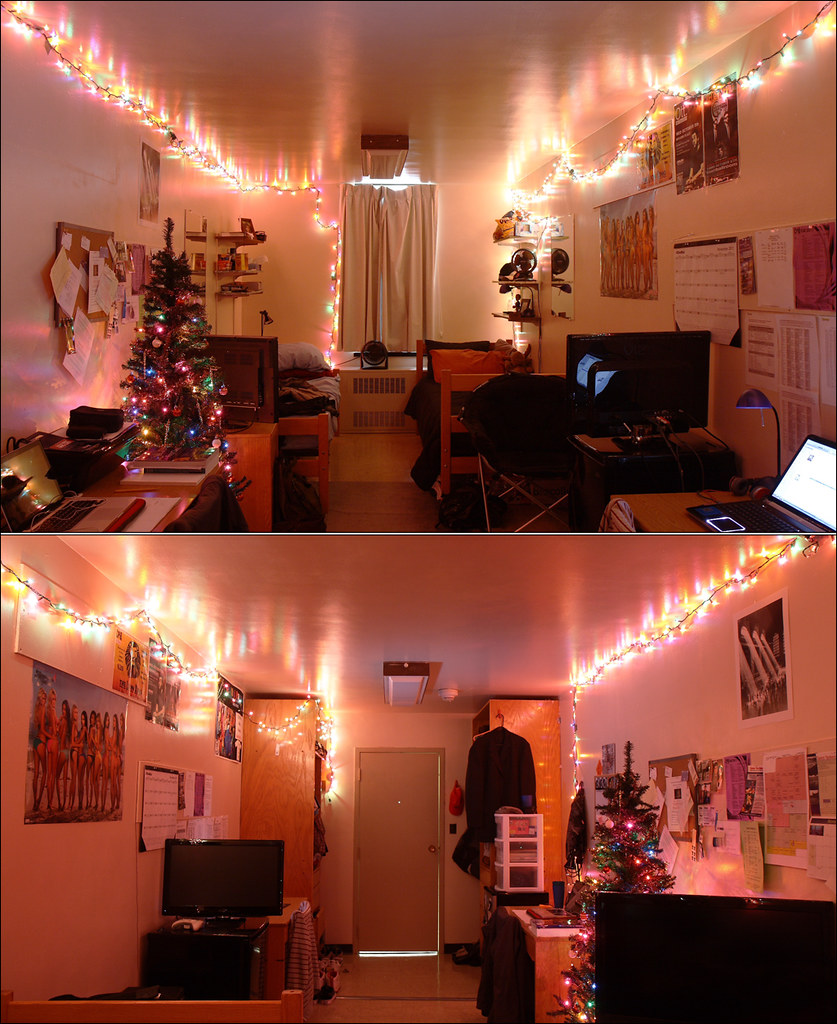 BEST DECORATED DORM ROOMS. DORM ROOMS Best decorated dorm rooms. Palm