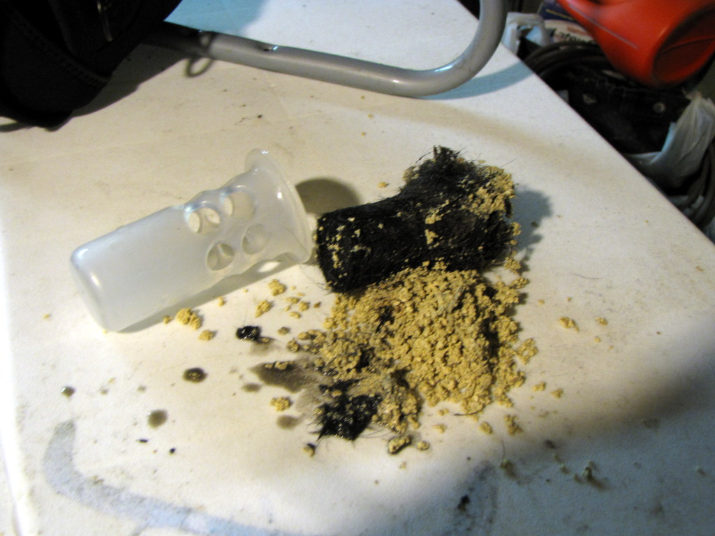 WASHING MACHINE DRAIN CLOG WASHING MACHINE AND WHITE LADY SLIPPER