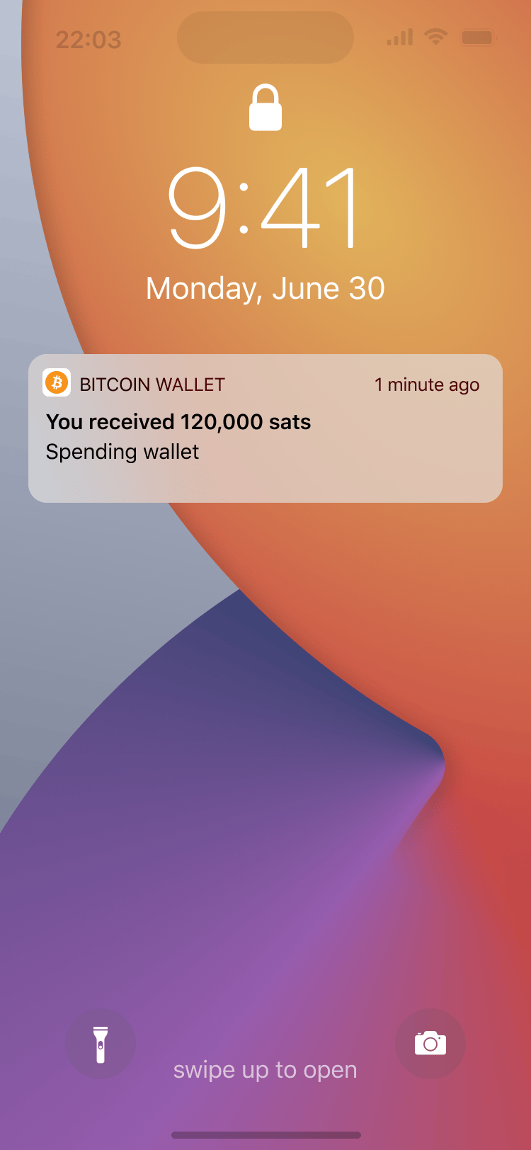 Multiple wallets Bitcoin Design