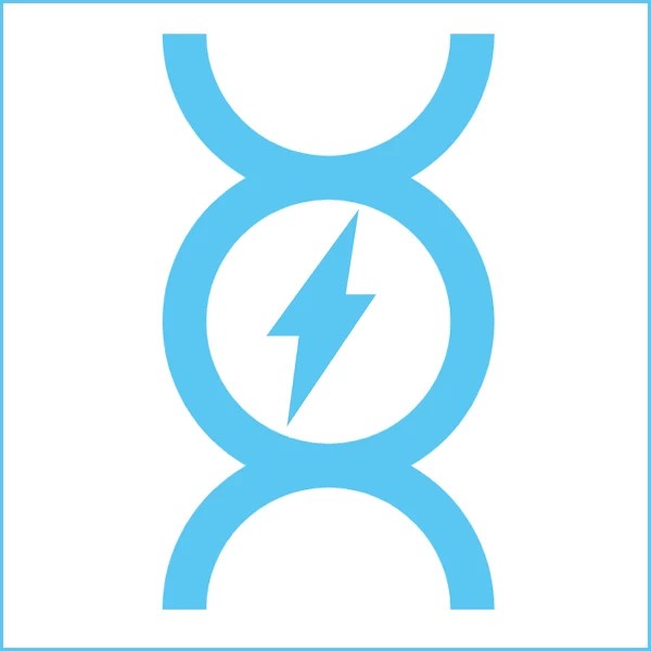 Mt Pelerin adopte le Lightning Network bitcoin.fr