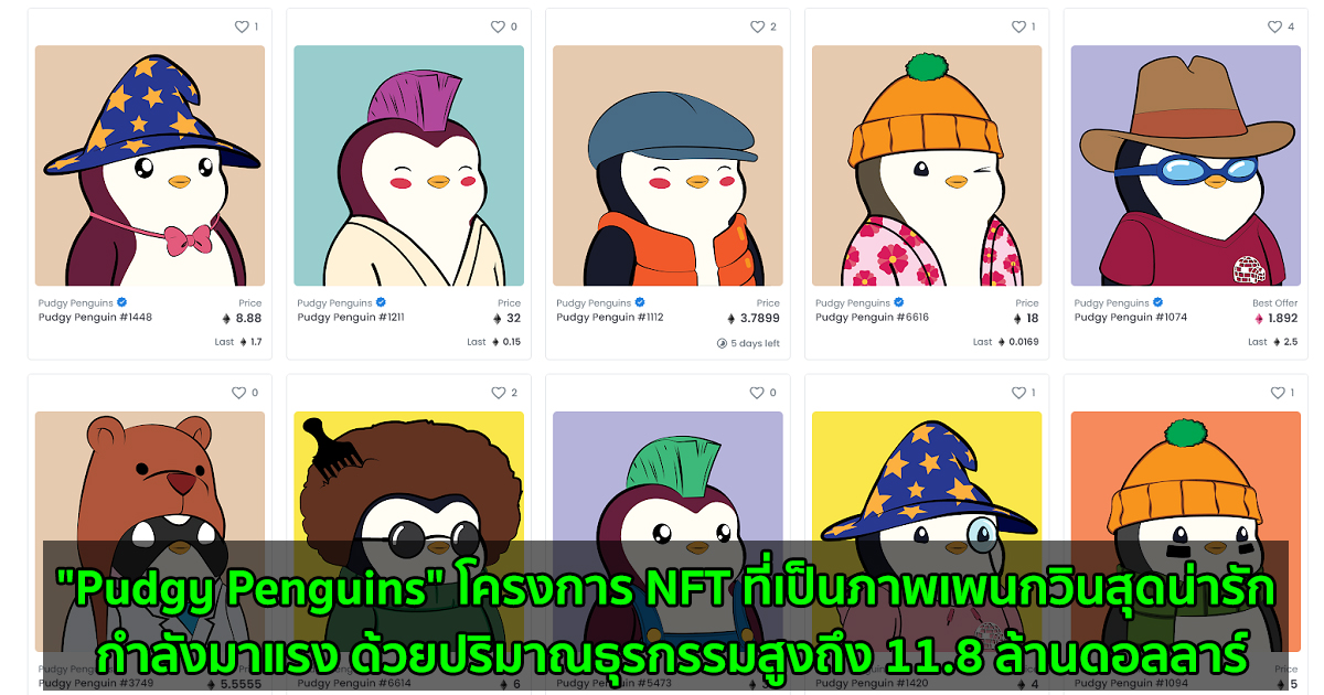"Pudgy Penguins" โครงการ NFT ที่่เป็นภาพเพนกวินสุดน่ารัก