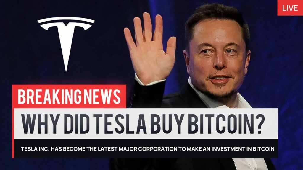 Bitcoin Warning! Are We Headed For A Cryptocurrency War? Elon Musk