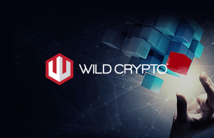 Wild Crypto WILD ICO eGaming Lottery Blockchain Platform?