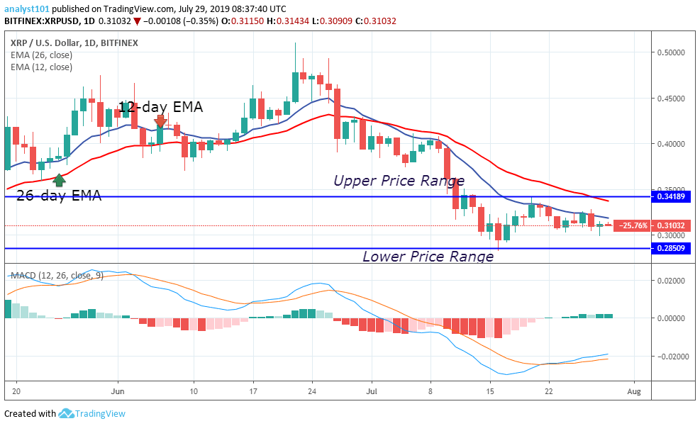 XRP Price Prediction Today Daily (XRP) Value Forecast