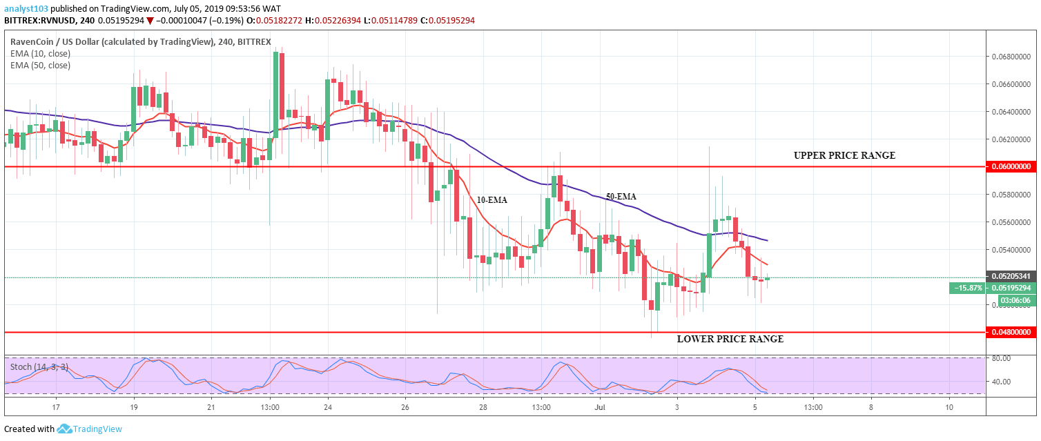 RAVENCOIN Price Prediction Today Daily (RVN) Value