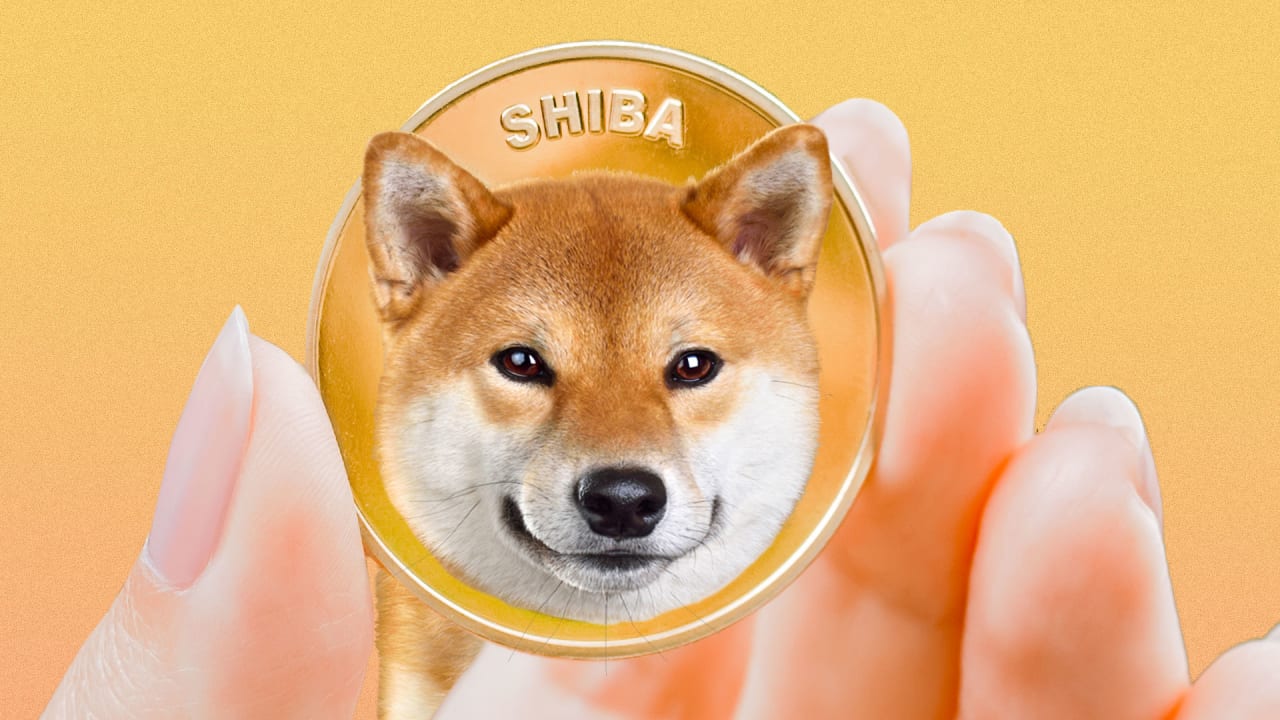 400 Rally Makes Shiba Inu 12th Top Crypto, Will Dogecoin Mirror This