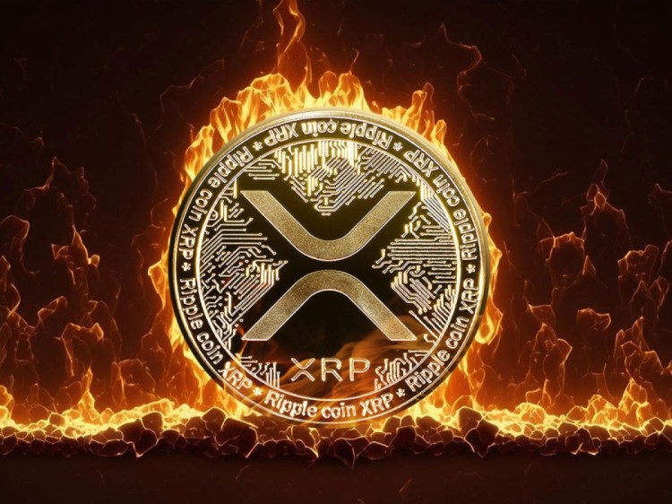 Ripple CTO Responds To Community Calls To Burn XRP Holdings