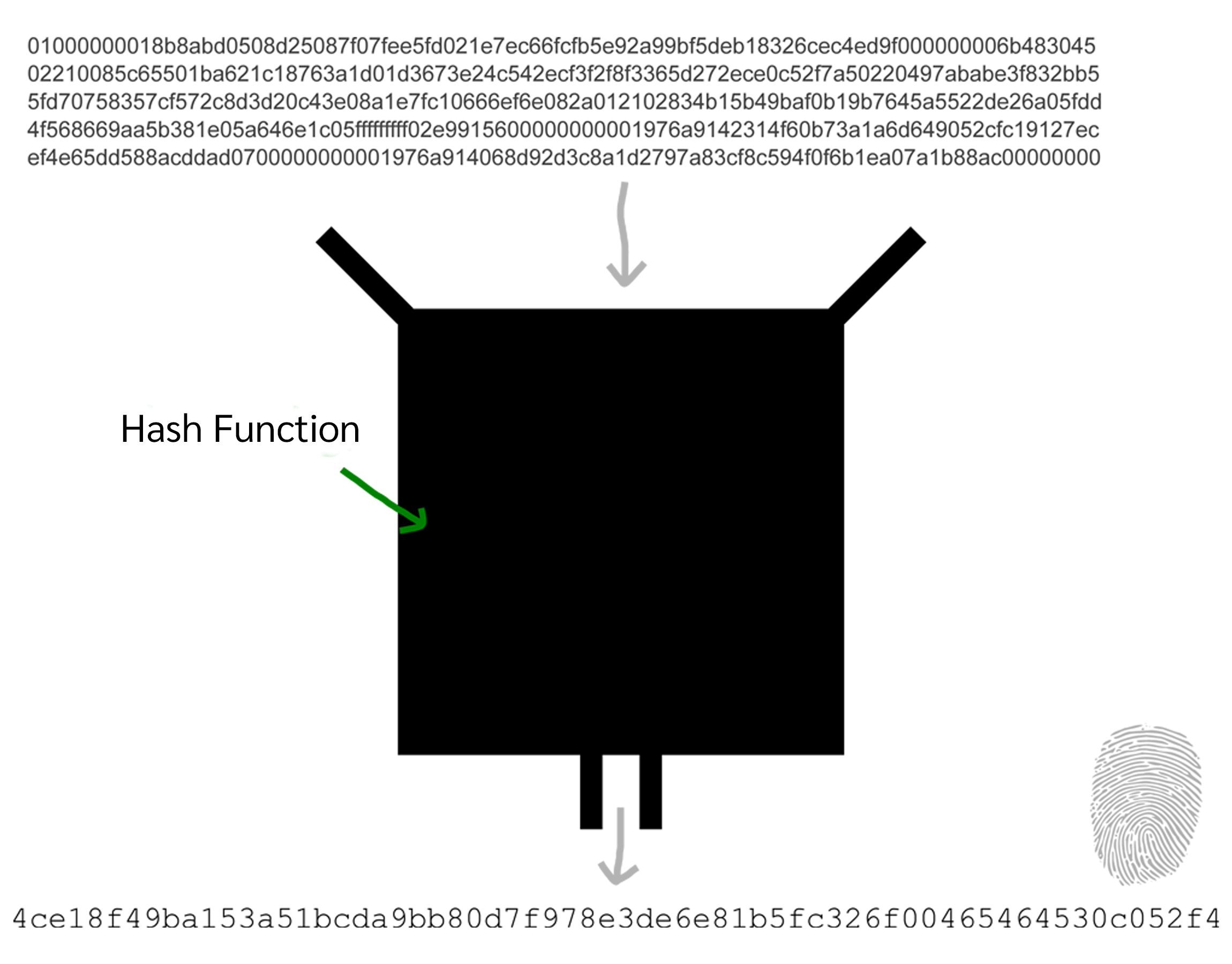 Hash Function คืออะไร? Bitcointhailand