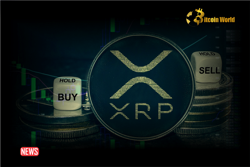 The Price Of Ripple (XRP) Rises More Than 4 In 24 Hours