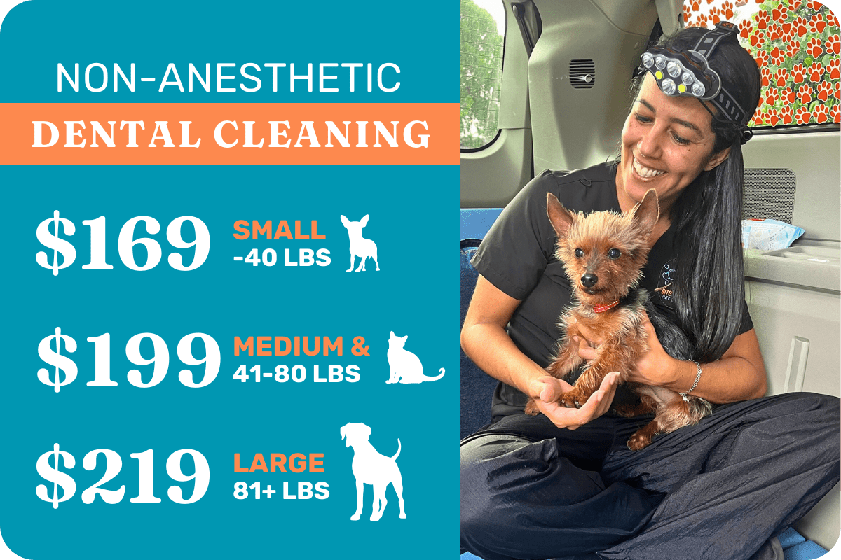 Booking Bite & Shine Mobile Pet Dental