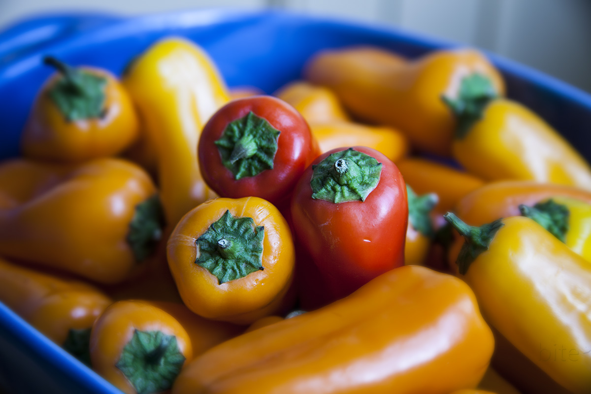 miniature bell peppers stuffed with beef and mozzarella keeping it