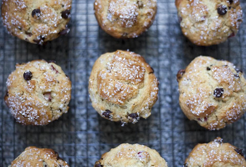 rhubarb chocolate chip muffins coffee shop muffins exposed bite