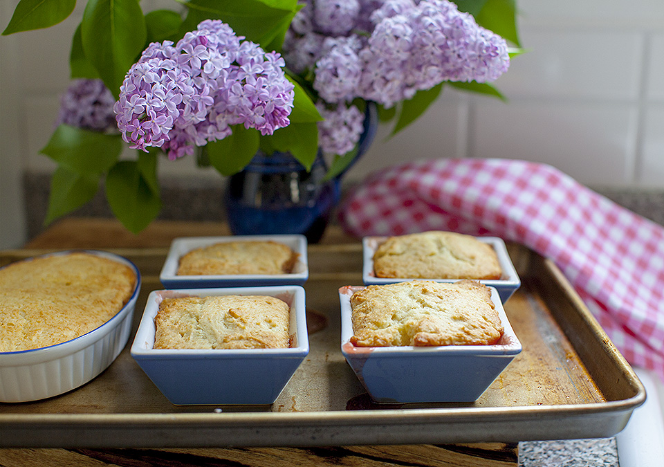 cottage pudding century old dessert bite
