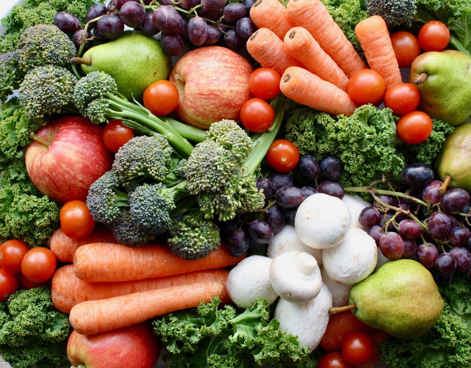 My Top Vegan Resources Veganuary Series Bites by Bekah