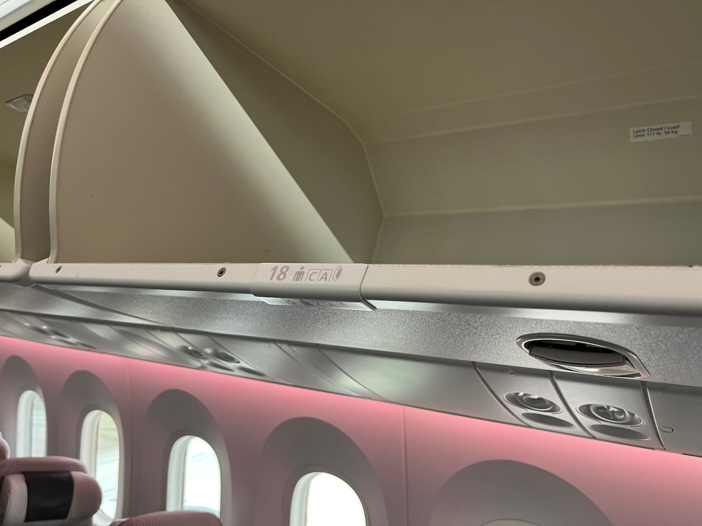 飛行紀錄 日本航空 JL96 帶一歲寶寶的一打一飛行 你絕對猜不到的日航寶寶餐 - 一口冒險 Bitesized Adventure 飛行紀錄 日本航空 JL96 帶一歲寶寶的一打一飛行 你絕對猜不到的日航寶寶餐 - 一口冒險 Bitesized Adventure