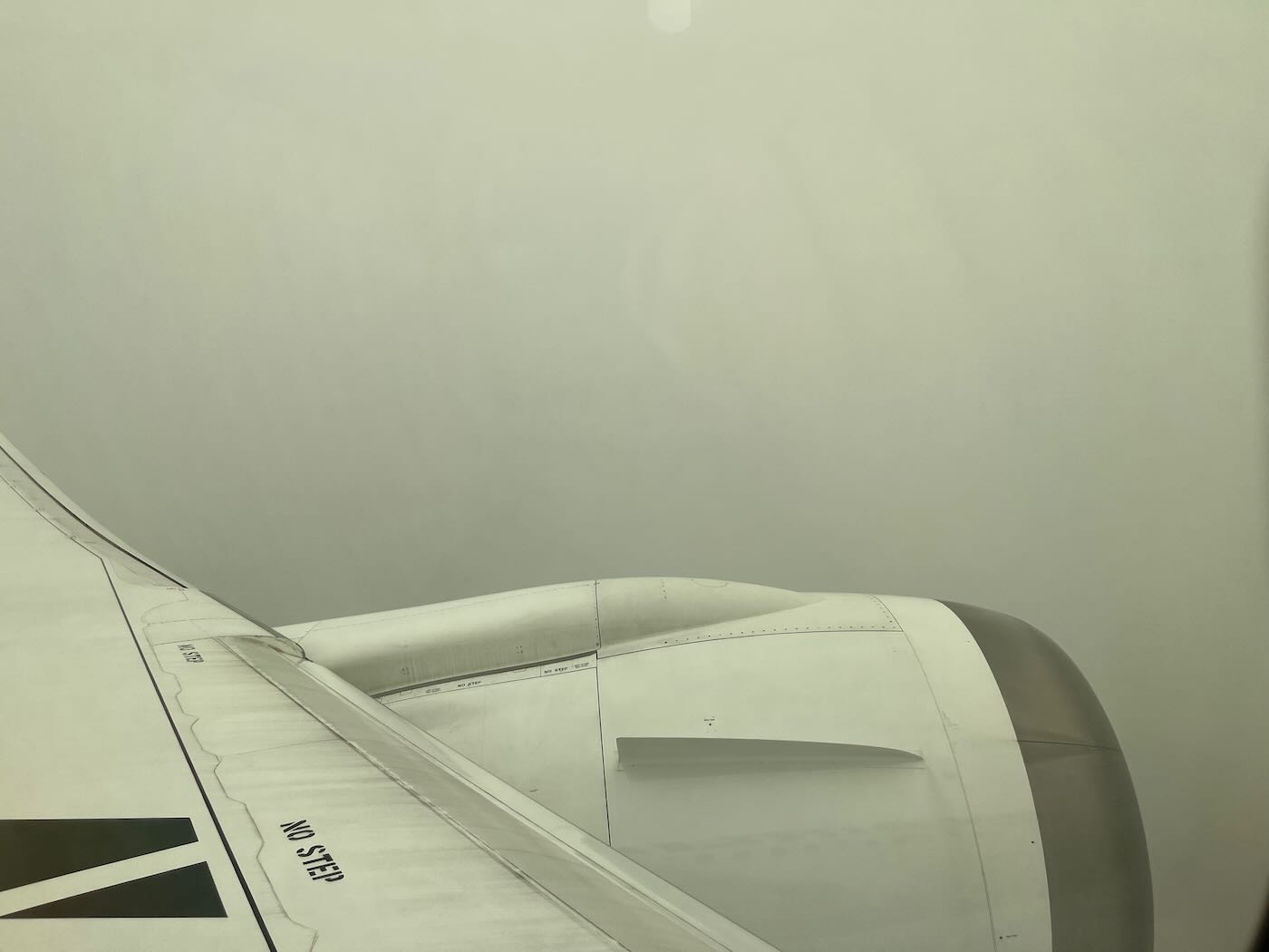 飛行紀錄 日本航空 JL96 帶一歲寶寶的一打一飛行 你絕對猜不到的日航寶寶餐 - 一口冒險 Bitesized Adventure