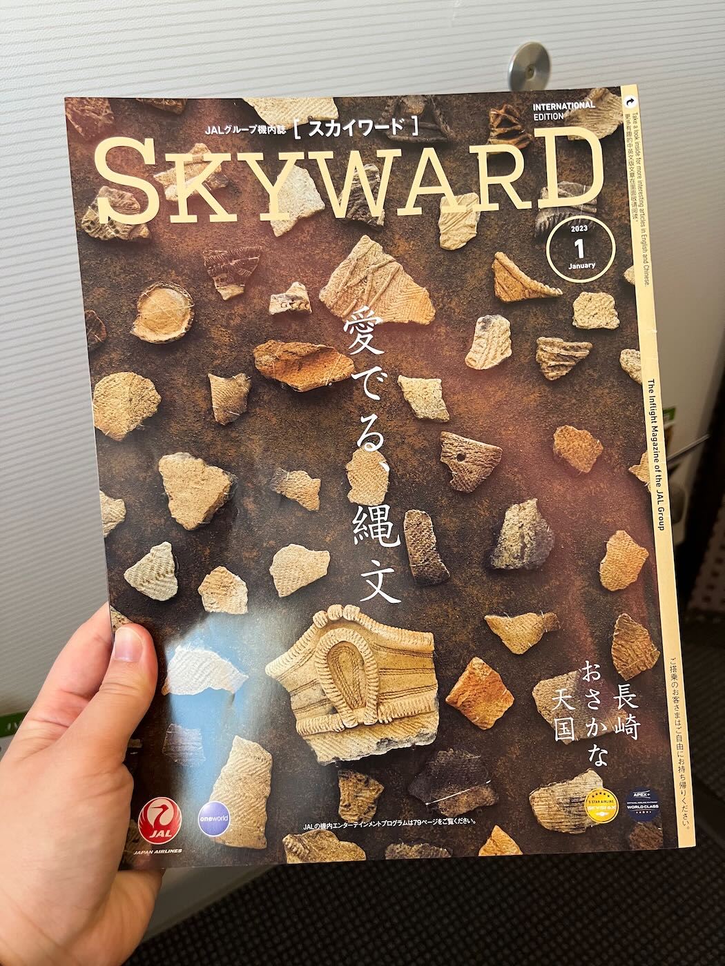 飛行紀錄 日本航空 JL96 帶一歲寶寶的一打一飛行 你絕對猜不到的日航寶寶餐 - 一口冒險 Bitesized Adventure 飛行紀錄 日本航空 JL96 帶一歲寶寶的一打一飛行 你絕對猜不到的日航寶寶餐 - 一口冒險 Bitesized Adventure