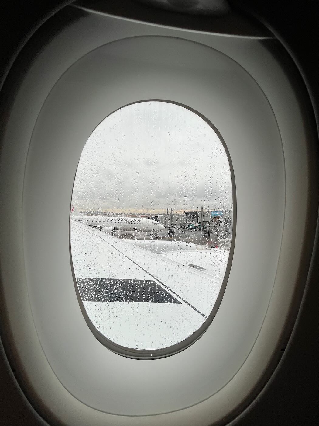 飛行紀錄 日本航空 國內線 羽田札幌 JL521 A350 客機 - 一口冒險 Bitesized Adventure 飛行紀錄 日本航空 國內線 羽田札幌 JL521 A350 客機 - 一口冒險 Bitesized Adventure