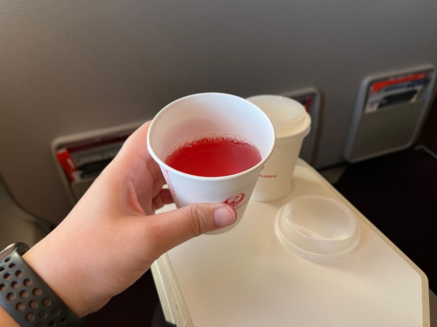 飛行紀錄 日本航空 國內線 羽田札幌 JL521 A350 客機 - 一口冒險 Bitesized Adventure 飛行紀錄 日本航空 國內線 羽田札幌 JL521 A350 客機 - 一口冒險 Bitesized Adventure