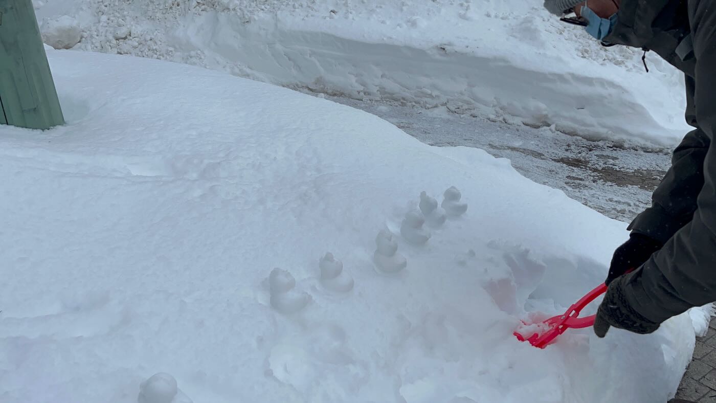 北海道美食 小樽 魚真海鮮丼|籔半蕎麥麵 - 一口冒險 Bitesized Adventure 北海道美食 小樽 魚真海鮮丼|籔半蕎麥麵 - 一口冒險 Bitesized Adventure