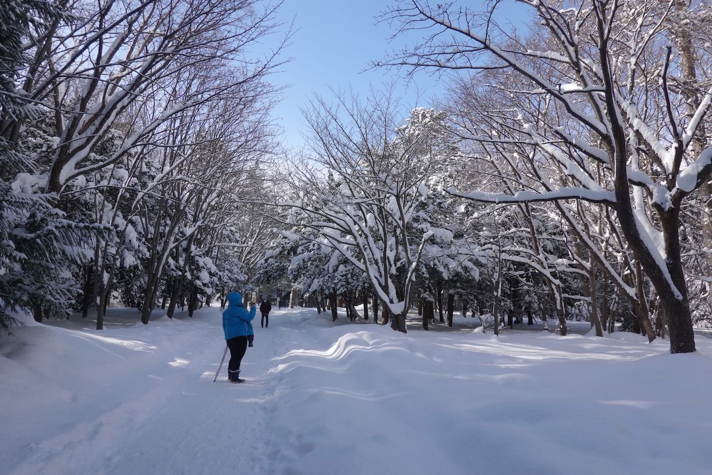 北海道景點 札幌 北海道神宮 大雪紛飛與美好晴空 - 一口冒險 Bitesized Adventure