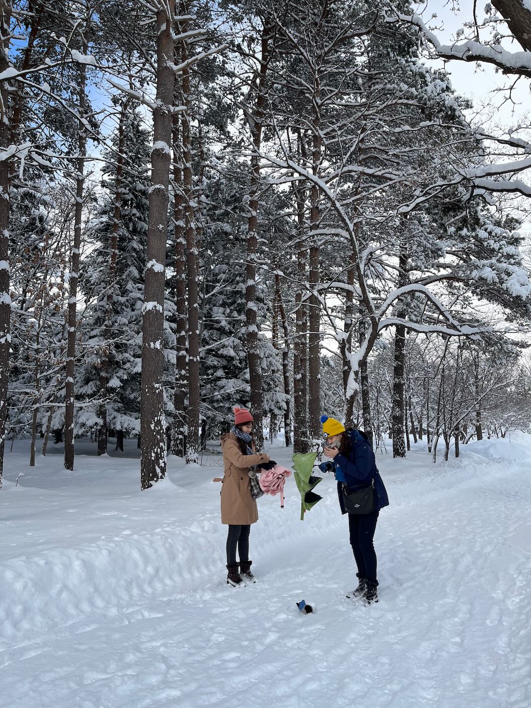 北海道景點 札幌 北海道神宮 大雪紛飛與美好晴空 - 一口冒險 Bitesized Adventure 北海道景點 札幌 北海道神宮 大雪紛飛與美好晴空 - 一口冒險 Bitesized Adventure