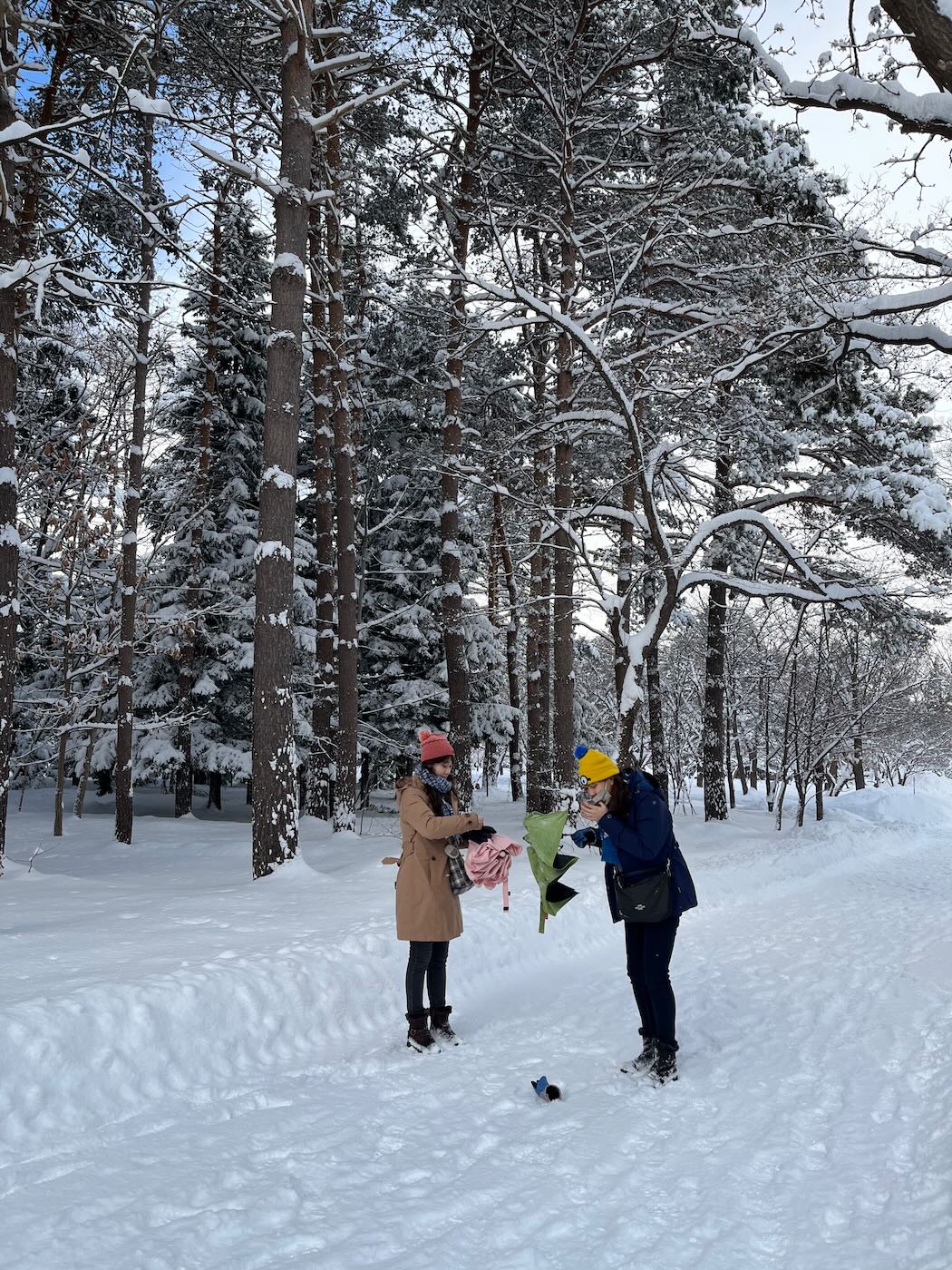 北海道景點 札幌 北海道神宮 大雪紛飛與美好晴空 - 一口冒險 Bitesized Adventure