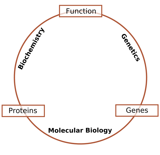 History of Molecular Biology Bitesize Bio