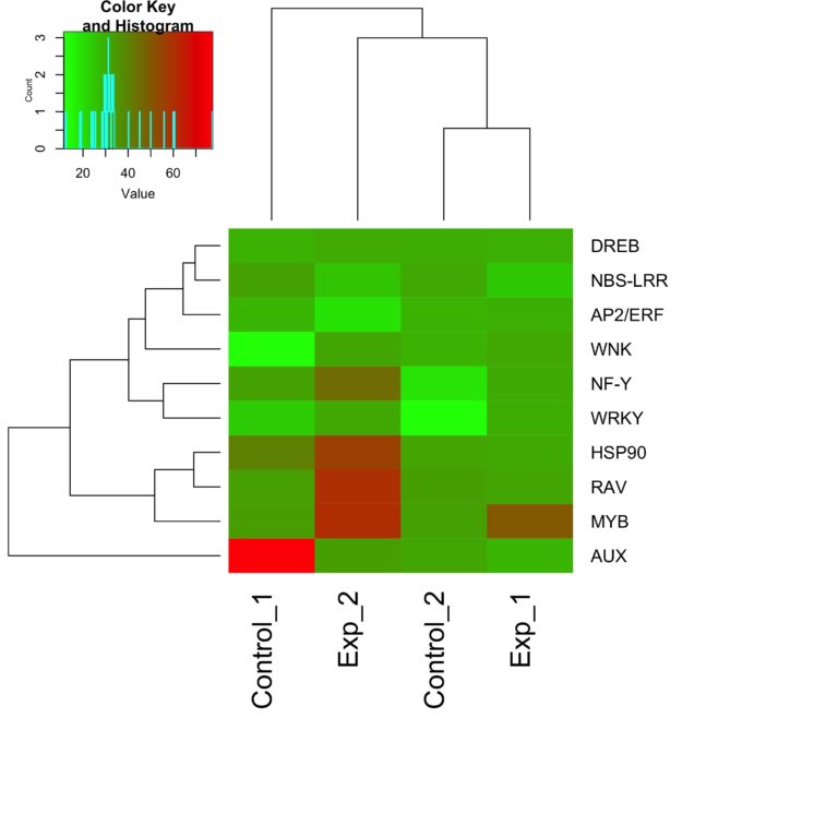 Show Disparity in Gene Expression with a Heat Map
