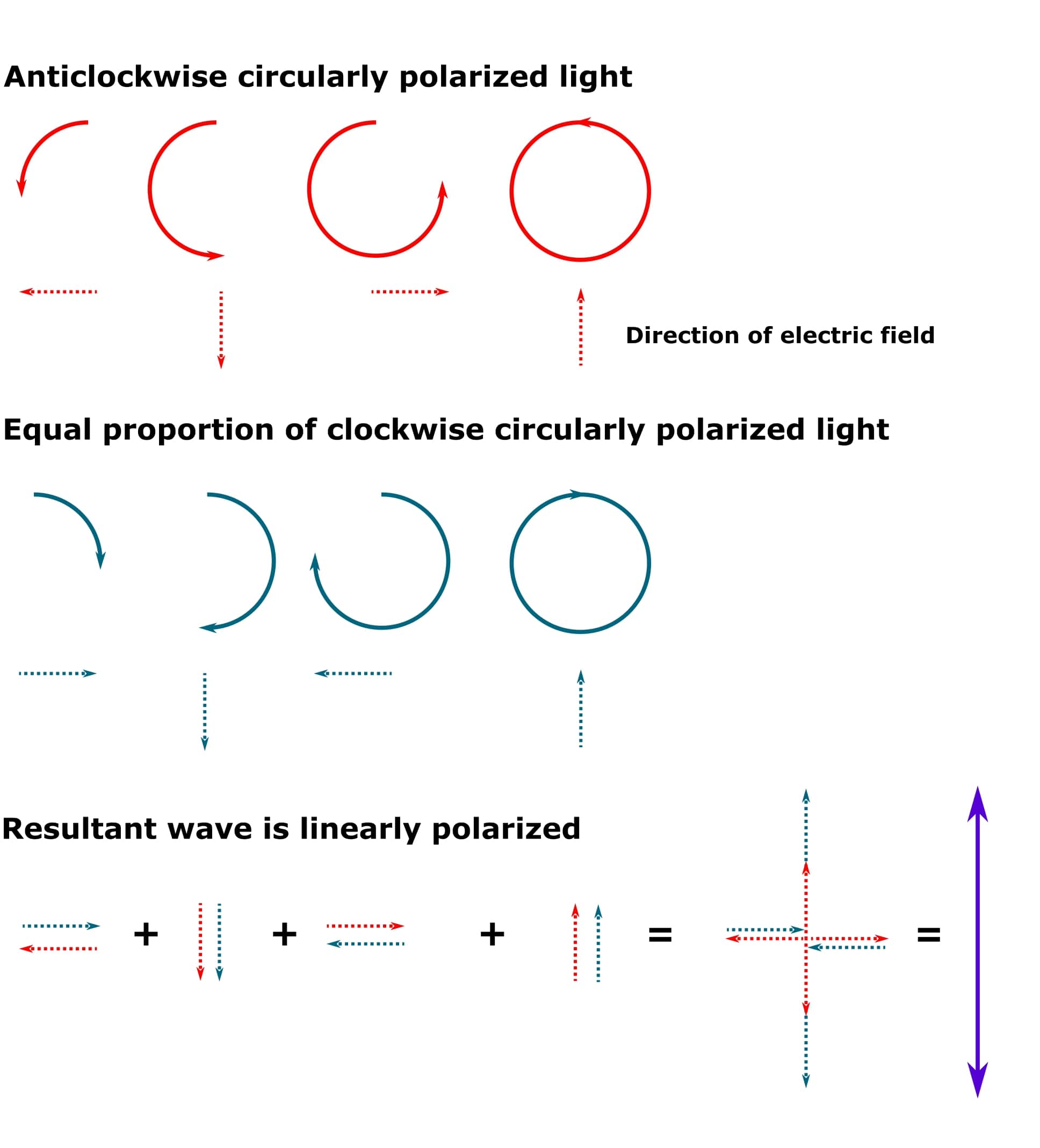 The Principle Of Circular Dichroism Helping Your Protein Research
