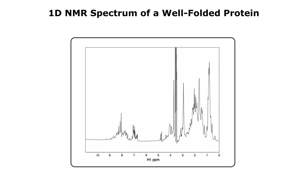 Investigating Protein Folding By NMR An Easy Explanation