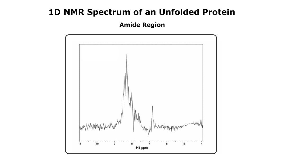 Investigating Protein Folding By NMR An Easy Explanation