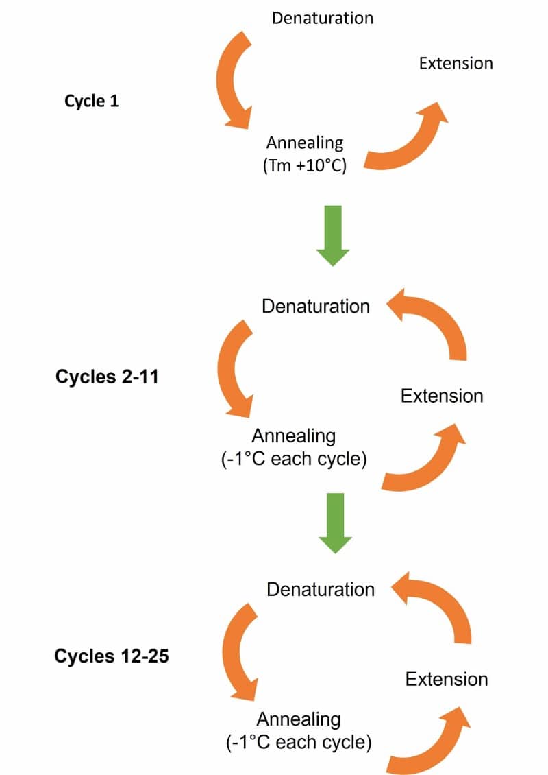 Hoe Lang Duurt 1 Pcr Cyclus? Een Diepgaande Analyse Van De Tijdsduur In Nederlands.