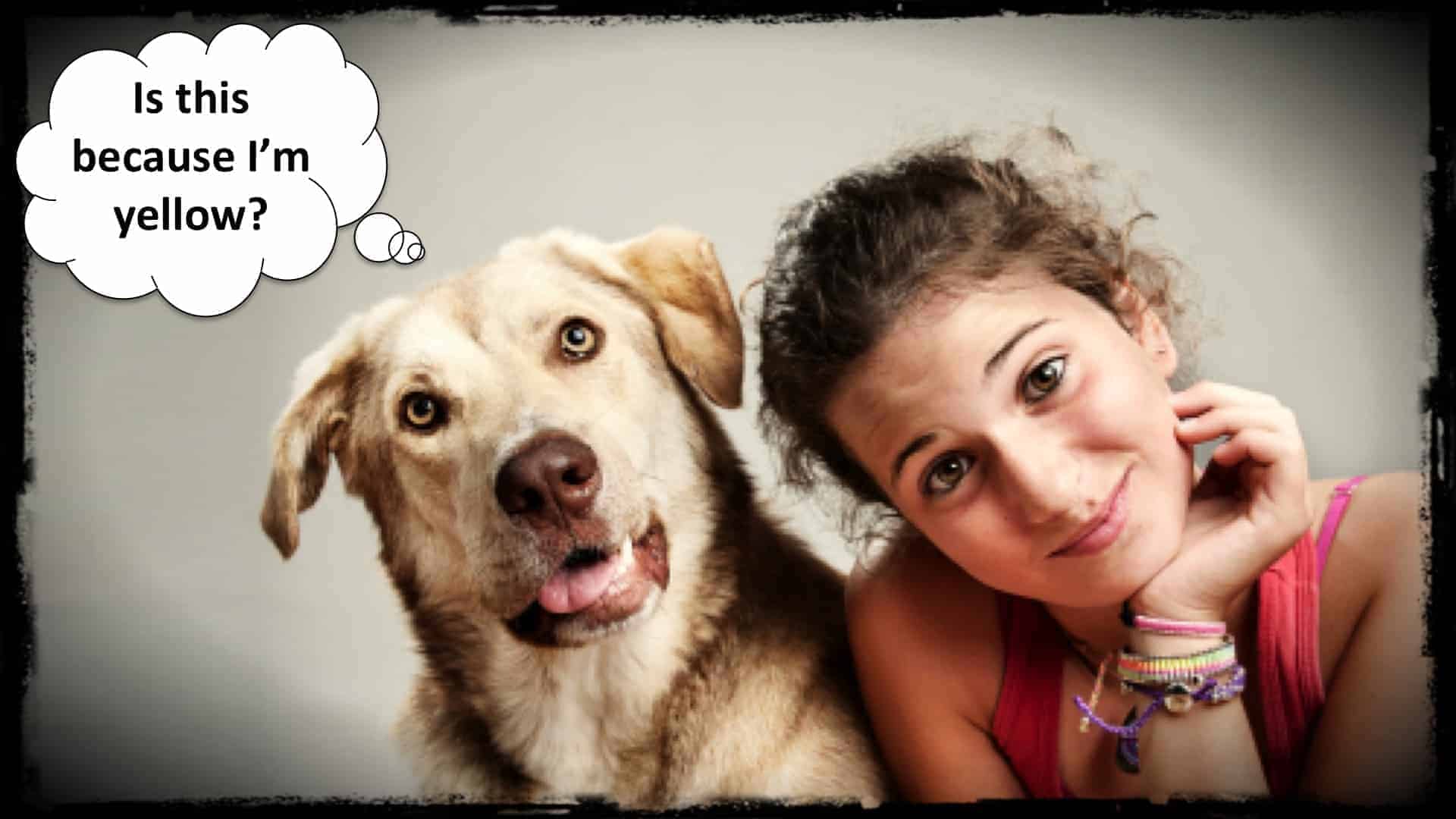 Legal Discrimination Against Pet Owners?