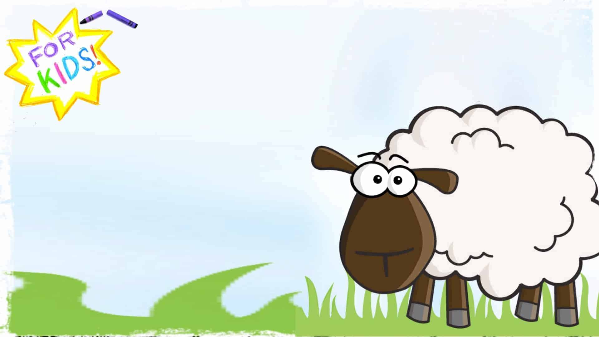 Why Wool Is BAAAD! [For Kids!]