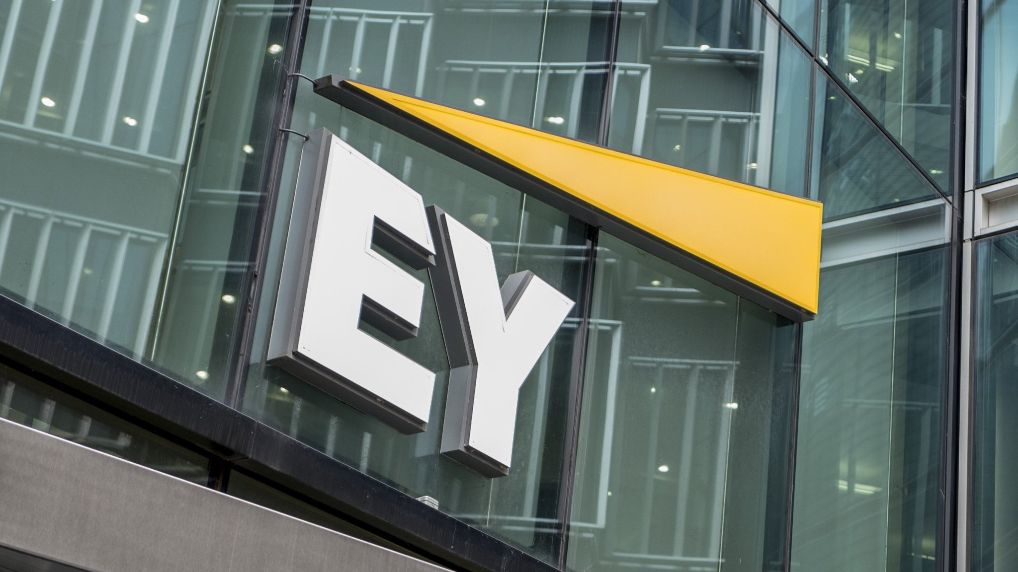 Специалист Ernst & Young не видит смысла в криптовалютах