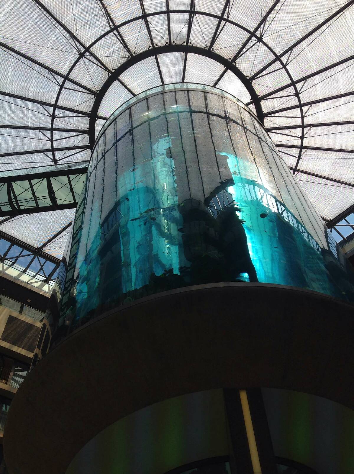 AquaDom Berlin Vergleiche Tickets für das Aquarium und