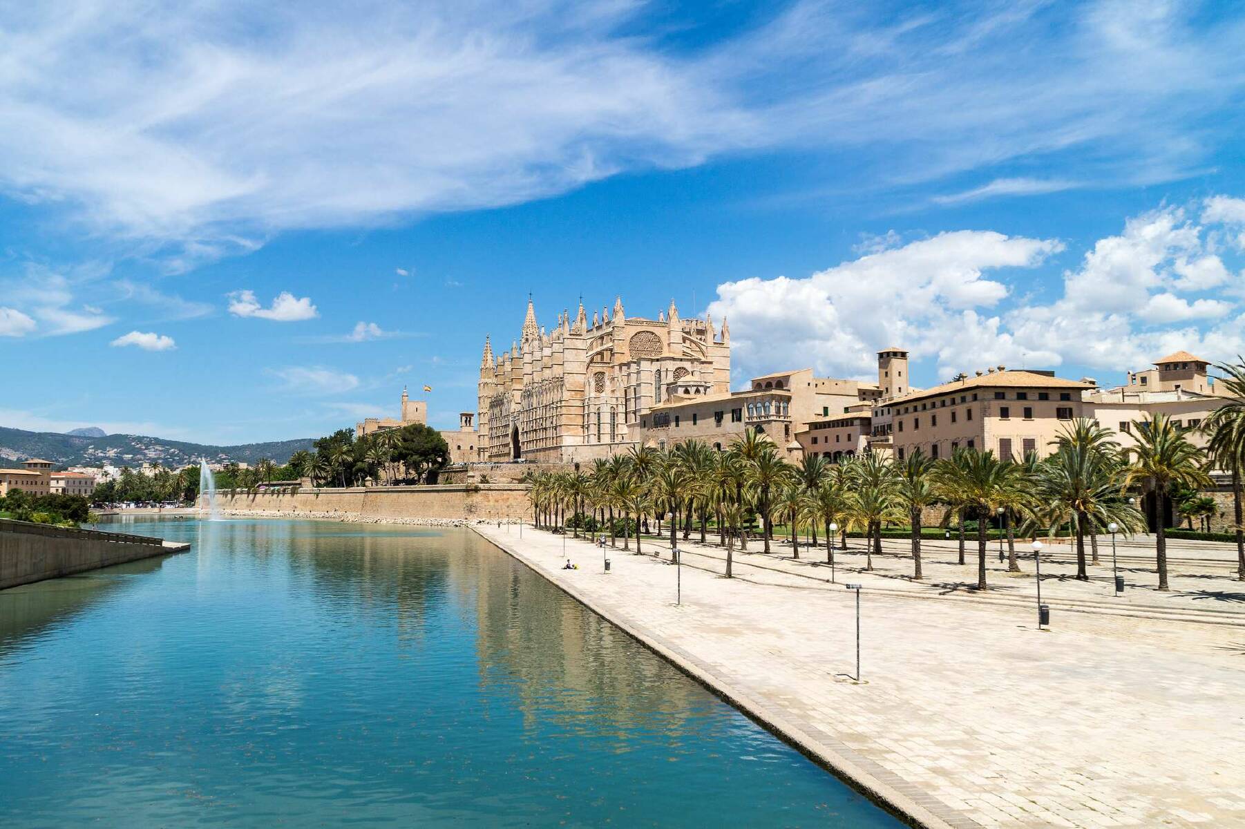 Palma Cathedral Compare Tickets and Tours to Find the Best Deal for