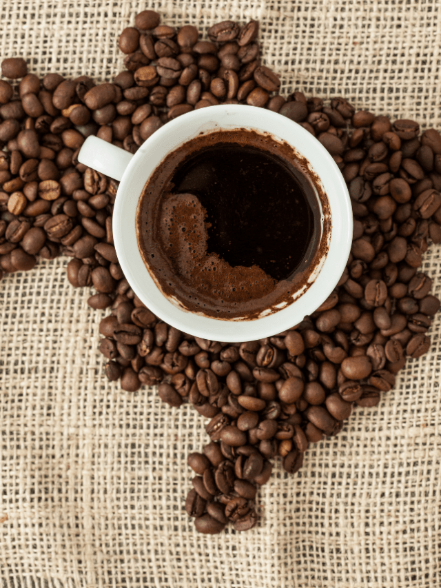 Medium vs. Dark Roast Coffee What’s The Difference? BIT OF CREAM