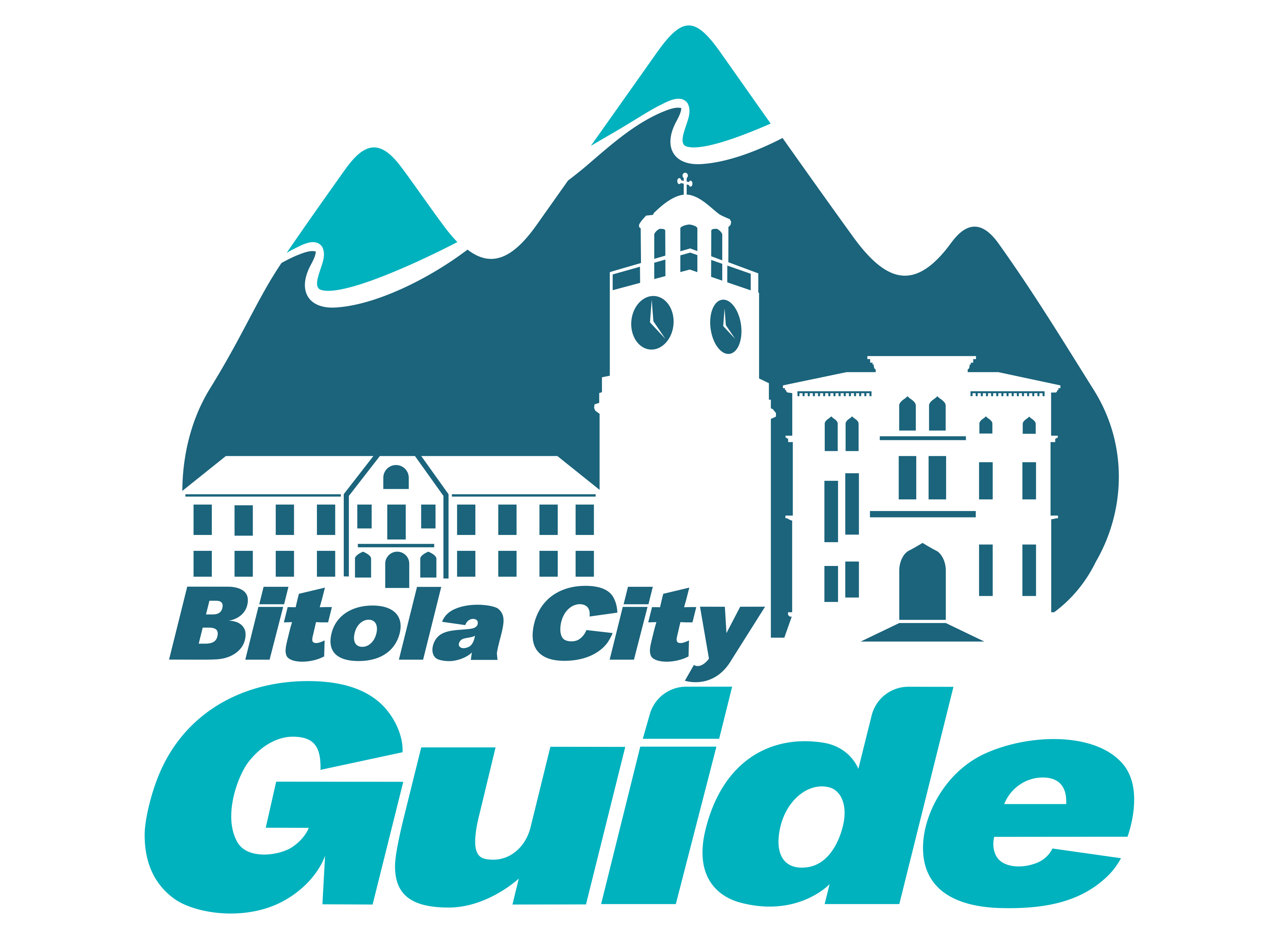 Contact Us Bitola City Guide