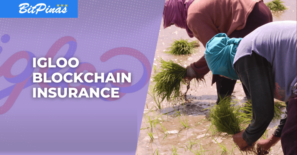 Igloo Introduces Blockchainbased Weather Index Insurance To ‘Ease