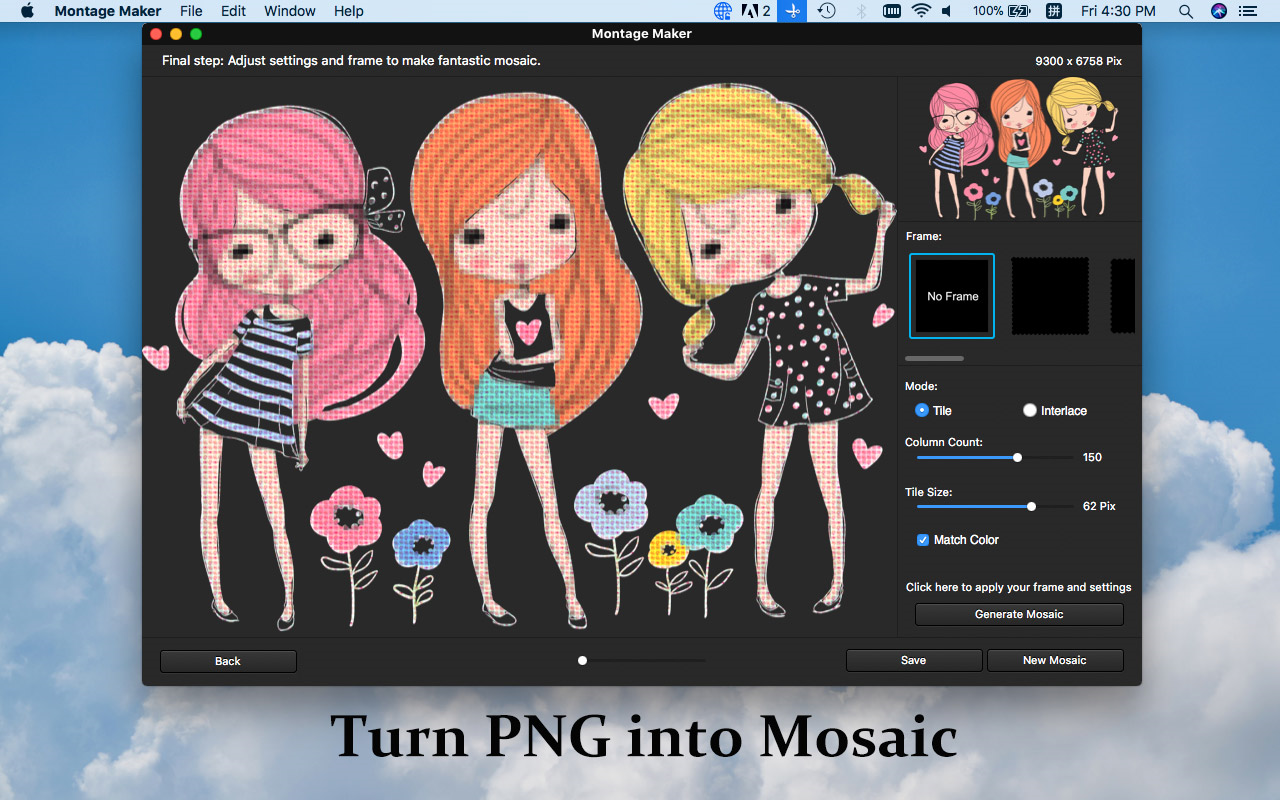 WidsMob Montage Graphic Design Software Discount